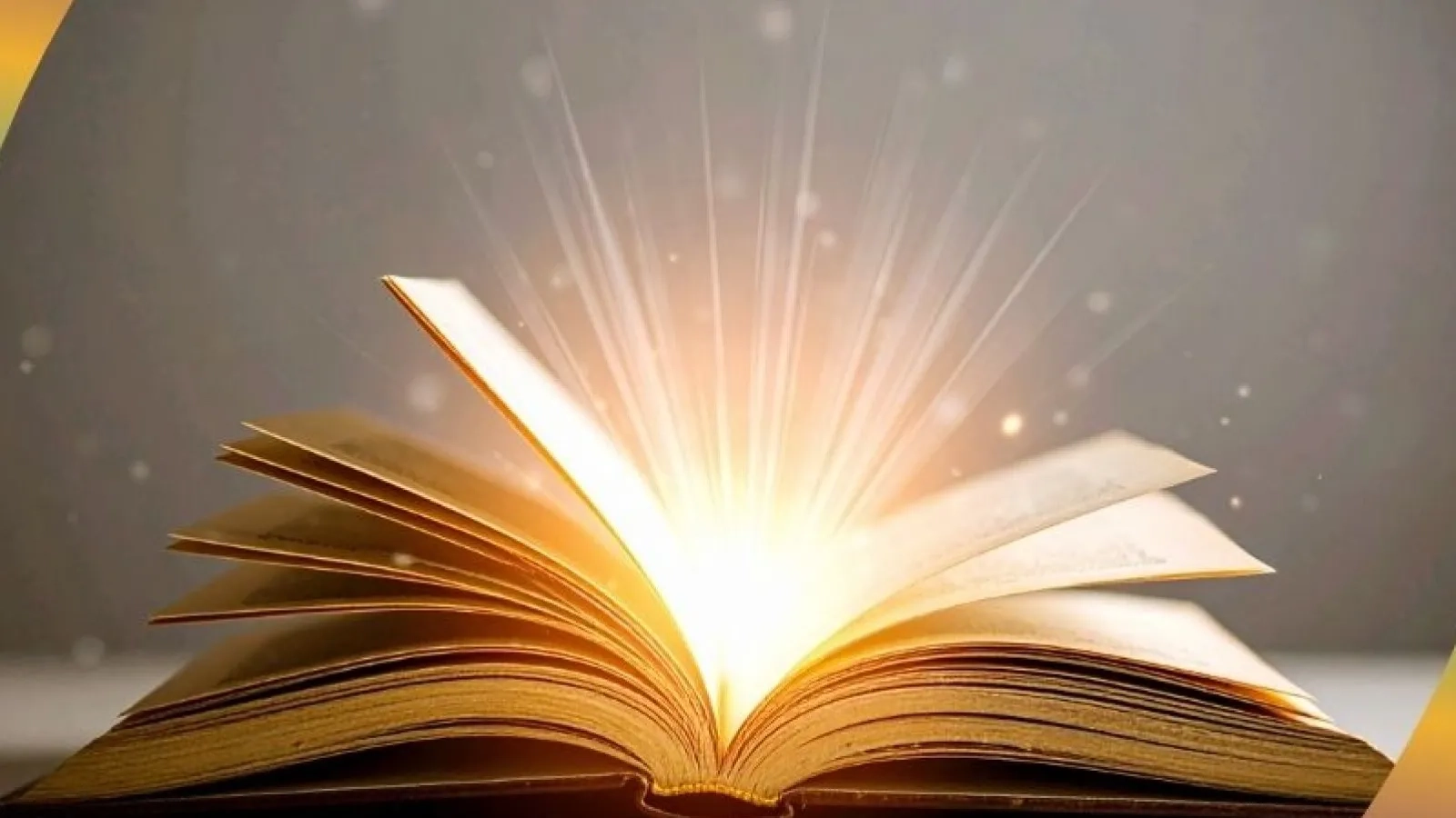 Persona Care & Support Limited