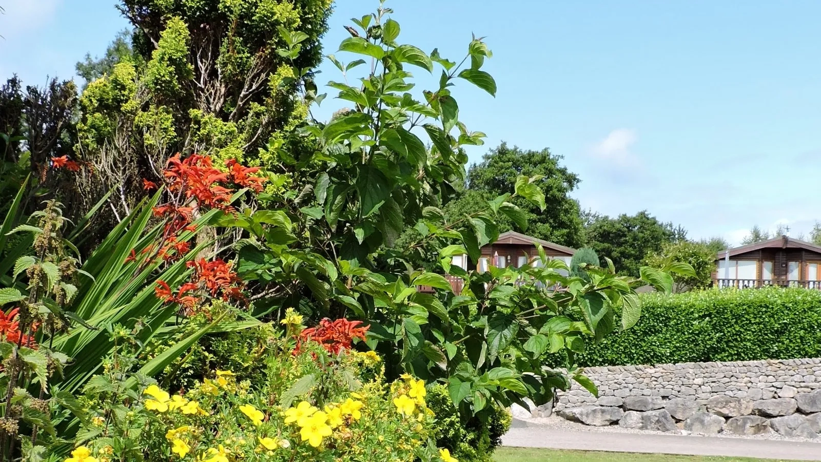 Persona Care & Support Limited